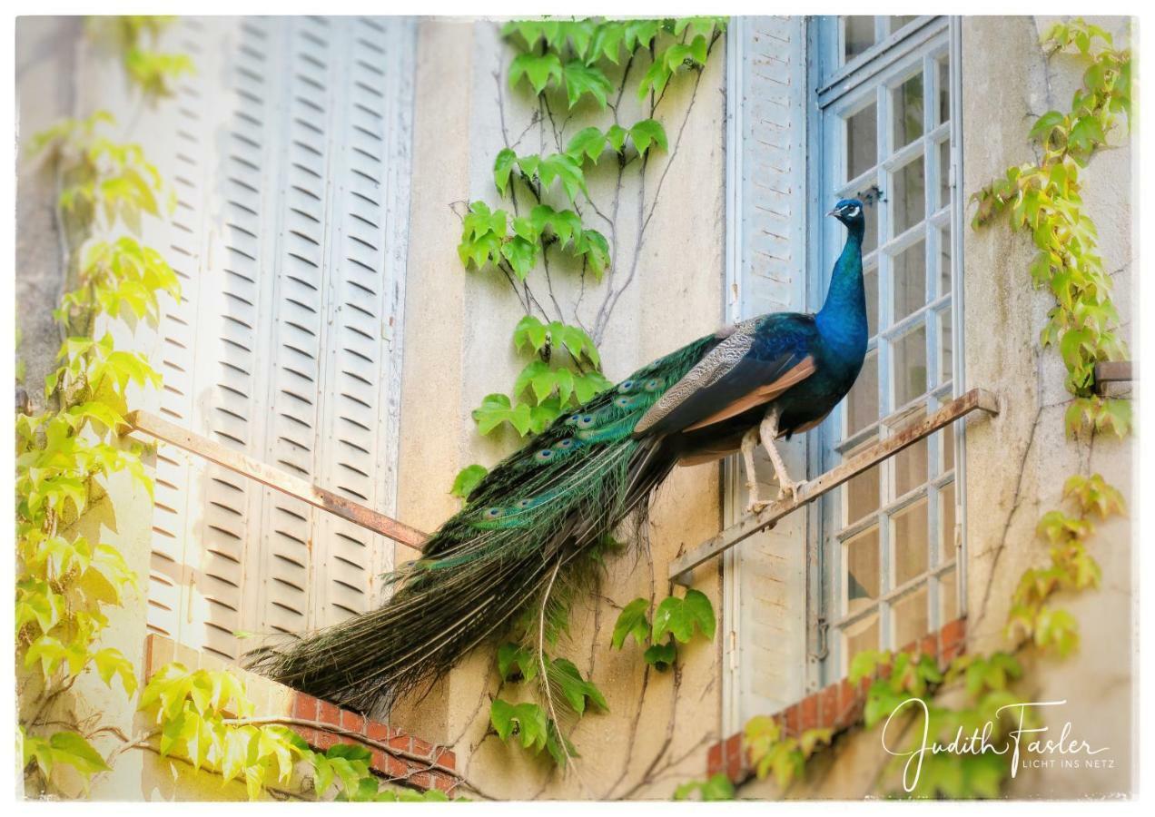 Le Relais Du Doubs En Bourgogne Bed & Breakfast Ciel Eksteriør bilde